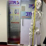Skeleton 180 CM