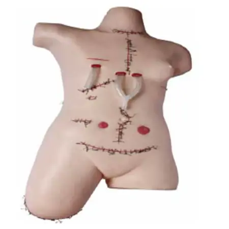 Surgical Suture and Bandaging Model