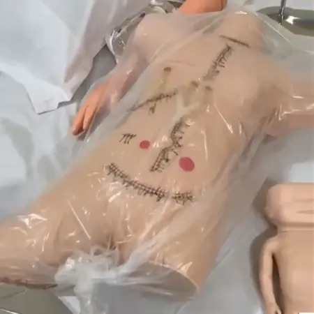 Surgical Suture and Bandaging Model bd 1