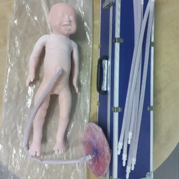 XC-409C advanced neonate simulator with umbilical cord and placenta for neonatal nursing training, cord clamping, cutting, and dressing practice.