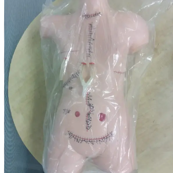 Suture and wound care practice torso with multiple stitched incisions for surgical training and bandaging skills.