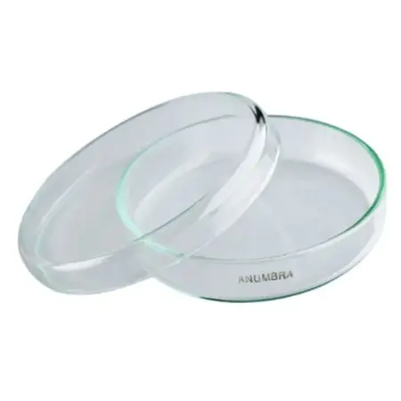 Glass Petri Dish 120 mm borosilicate laboratory culture dish clear glass