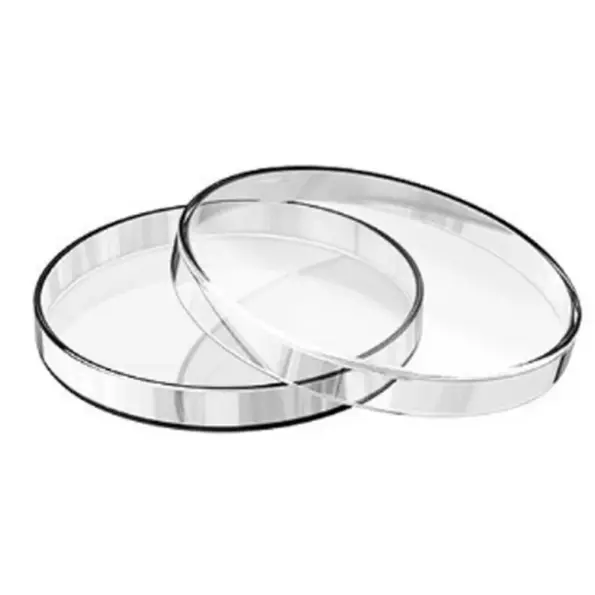 Glass Petri Dish 120 mm borosilicate laboratory culture dish clear glass