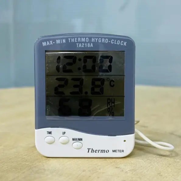 Thermo Hygro Clock BD digital temperature humidity meter TA218A