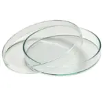 Glass Petri Dish 120 mm borosilicate laboratory culture dish clear glass