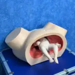 Midwifery Training Simulator