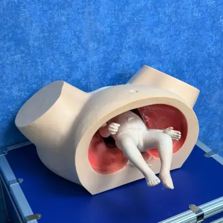 Midwifery Training Simulator