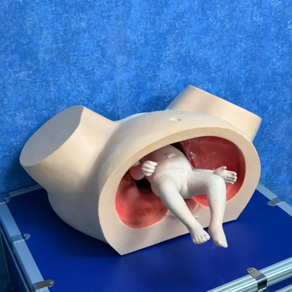 Midwifery Training Simulator
