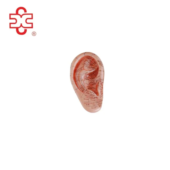 12CM Massage Ear Acupuncture