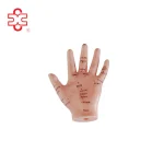 13CM Hand Acupuncture Needle Point Teaching Model XC XC-509 Skin-Like ISO Certified