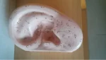 40CM Ear Acupuncture Model