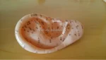 40CM Ear Acupuncture Model