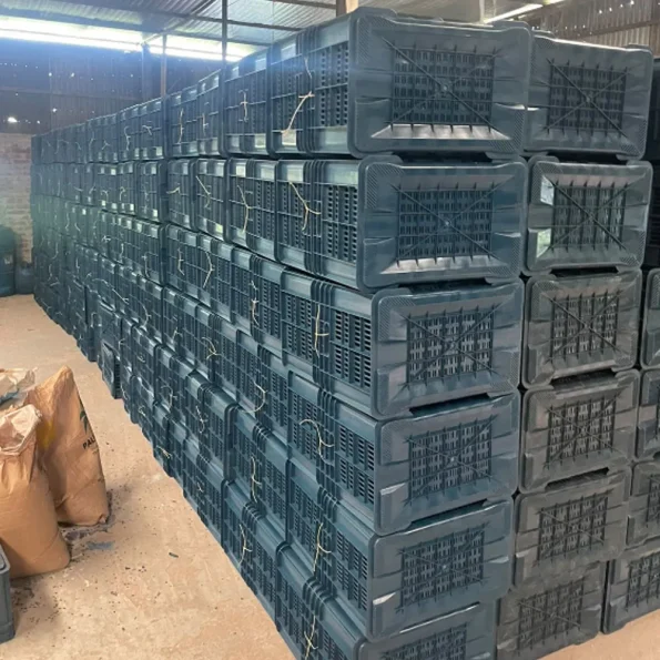 2 Number Plastic Fruit Crate in Bangladesh – RTCDHAKA