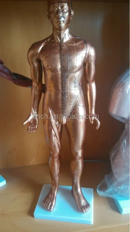 Acupuncture Manikin PVC 84CM (Copper Color) Medical Science Model