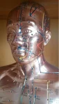 Acupuncture Manikin PVC 84CM (Copper Color) Medical Science Model