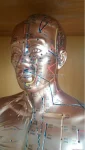 Acupuncture Manikin PVC 84CM (Copper Color) Medical Science Model
