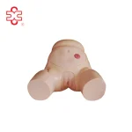 Advanced Female Urethral Catheterization Simulator