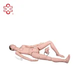Advanced Multifunctional Nursing Training Medical Simulator PVC Material XC Brand ISO Certified Model XC-401C 14-Month Warranty