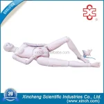 Advanced Multifunctional Nursing Training Medical Simulator PVC Material XC Brand ISO Certified Model XC-401C 14-Month Warranty