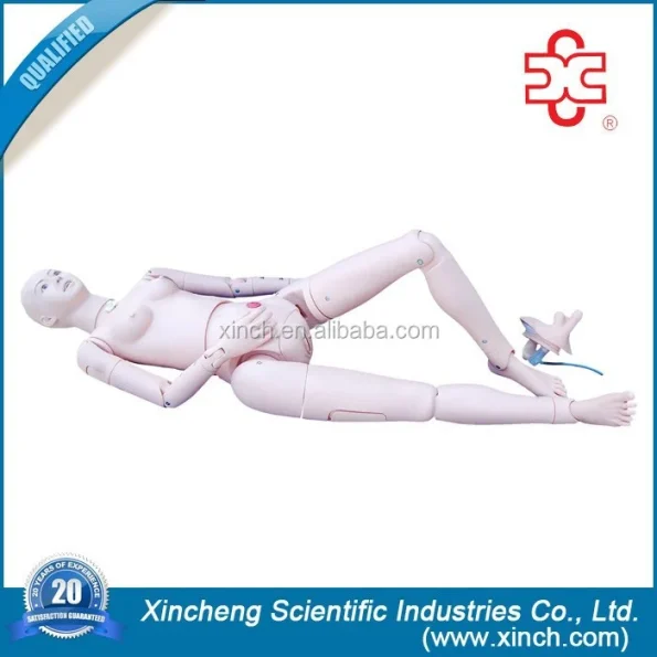 Advanced Multifunctional Nursing Training Medical Simulator PVC Material XC Brand ISO Certified Model XC-401C 14-Month Warranty