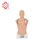Auscultation Training Simulator Anatomical Model XC-415B