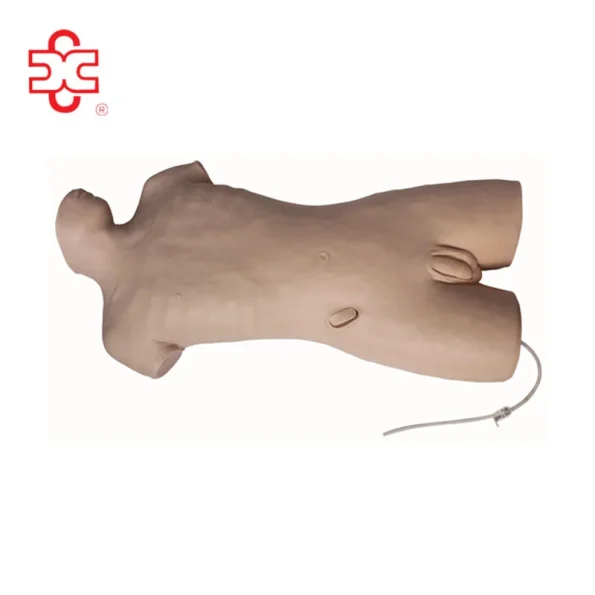 Central Venous Puncture Model