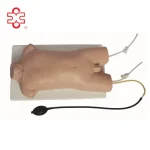 Child Femoral Vein and Femoral Artery Puncture Training Manikin (PVC Material)