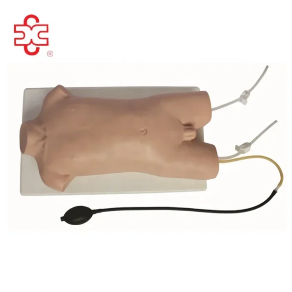 Child Femoral Vein and Femoral Artery Puncture Training Manikin (PVC Material)