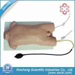 Child Femoral Vein and Femoral Artery Puncture Training Manikin (PVC Material)