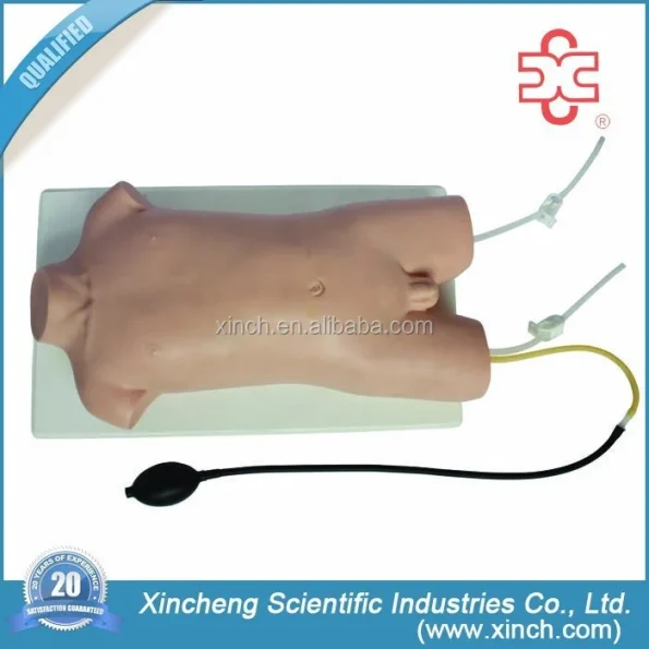 Child Femoral Vein and Femoral Artery Puncture Training Manikin (PVC Material)