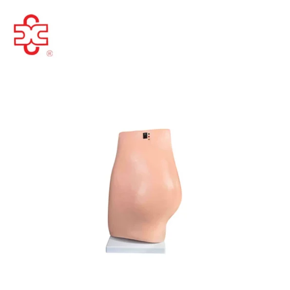 Electronic Buttocks IV Injection Manikin Model