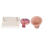 Human Bladder Model Set Normal Vs Smoking-Induced Changes for Educational Purposes