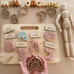 Human Organ Wooden Mold Set 3D Print Play Dough Stamps Kids Body Structure Science Educational Sensory Play Toy