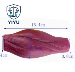 Human Skeletal Muscle Fiber Anatomical Model Simulated Muscle Tissue Model For Biology Muscle Structure Teaching