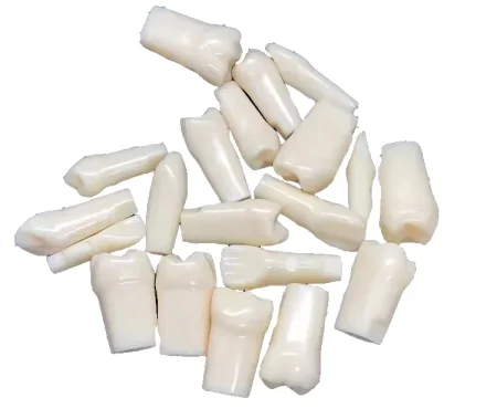 Individuel 32pcs Replacement Screwed-In Teeth Anatomical Model PVC Medical Science Practice Tool