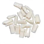 Individuel 32pcs Replacement Screwed-In Teeth Anatomical Model PVC Medical Science Practice Tool