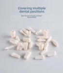 Individuel 32pcs Replacement Screwed-In Teeth Anatomical Model PVC Medical Science Practice Tool