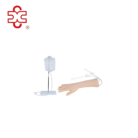 IV Training Hand and Arm, Venipuncture Practice Model