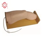 Knee Joint Intracavitary Injection Model