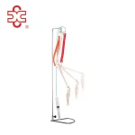 Life Size Medical Science Skeleton Model Upper Limb and Muscle Movement