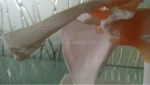 Life-Size PVC Medical Shoulder Joint Teaching Model