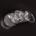 Medical Chemical Laboratory Plastic PS 60mm 55mm EO Sterilize Transparent Bacterial Tissue Cell Culture Petri Dish With 3 Vents