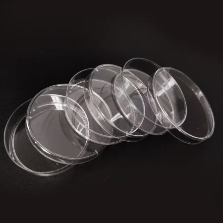 Medical Chemical Laboratory Plastic PS 60mm 55mm EO Sterilize Transparent Bacterial Tissue Cell Culture Petri Dish With 3 Vents