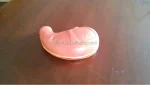Medical Plastic Stomach Model