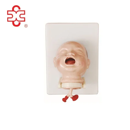 Medical PVC Human Model of Newborn Intubation Simulator