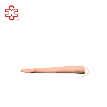 Medical Science IV Injection Arm Manikin Model XC-434A (PVC Without Set)