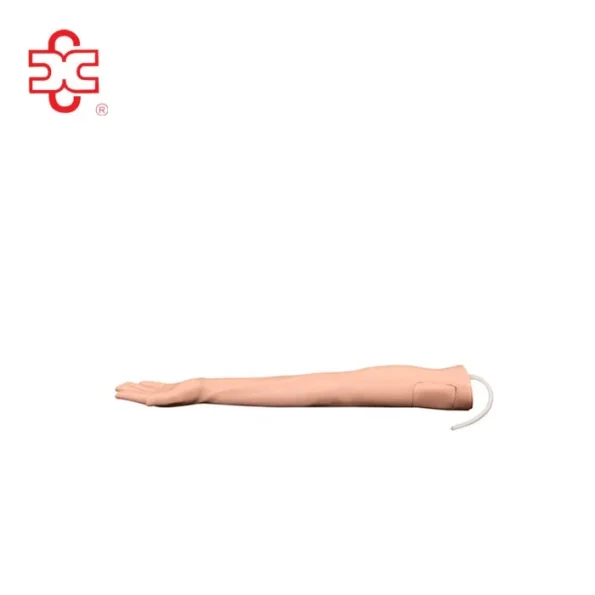 Medical Science IV Injection Arm Manikin Model XC-434A (PVC Without Set)
