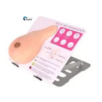 Medical Teaching Model: Breast Model with Stand for Benign Tumor & Hyperplasia Practice