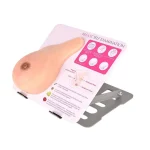 Medical Teaching Model: Breast Model with Stand for Benign Tumor & Hyperplasia Practice