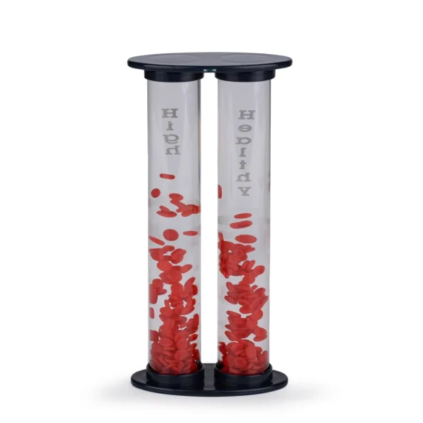 Medical Training Manikin Vascular Blood Sugar Comparison Model Visualize Blood Flow & Glucose Impact